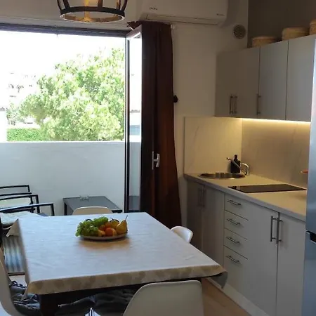 Terra * بوريتش